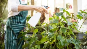 Getting-the-Outside-of-the-Property-Ready-When-You-Vacate-a-Rental-Property