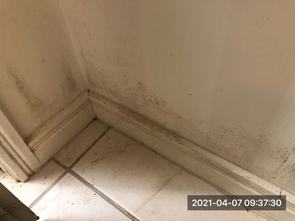 High amount of mould on wall on tenant house during wet weather