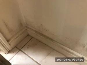 High-amount-of-mould-on-wall-on-tenant-house-during-wet-weather-1024x768