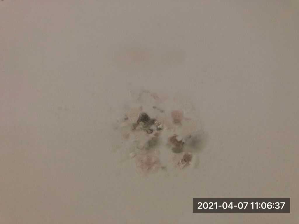 Mould on kitchen ceiling due to leak in roof in wet weather