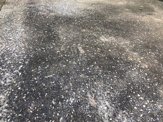 Pathway with black mould in rainy season