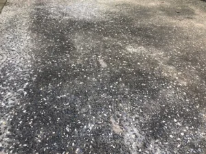 Pathway-with-black-mould-in-rainy-season