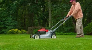 Whats-Expected-With-Tenants-Caring-for-Your-Lawns-and-Gardens-672x372