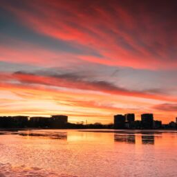 Rental Market Maroochydore