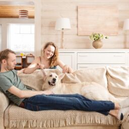 1st October 2022 Some Big Changes to Tenancy Laws