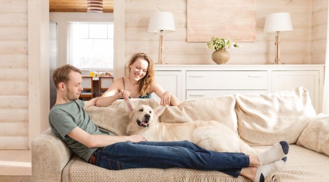 1st October 2022 Some Big Changes to Tenancy Laws