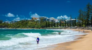 Sunshine-Coast-Rental-Market-3-thegem-blog-default