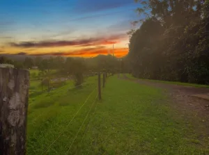 jacksons-road-west-woombye
