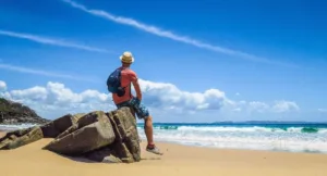 Sunshine-Coast-Rental-Cool-thegem-blog-default