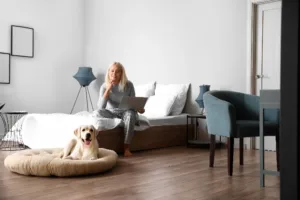home-loan-australia-2024-1