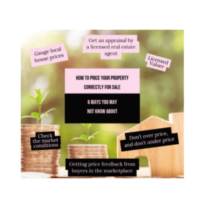 Price my house to sell An infographic illustrating strategies for effectively pricing your property before selling it in the real estate market.