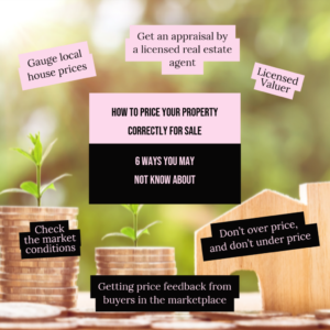 Price my house to sell An infographic illustrating strategies for effectively pricing your property before selling it in the real estate market.